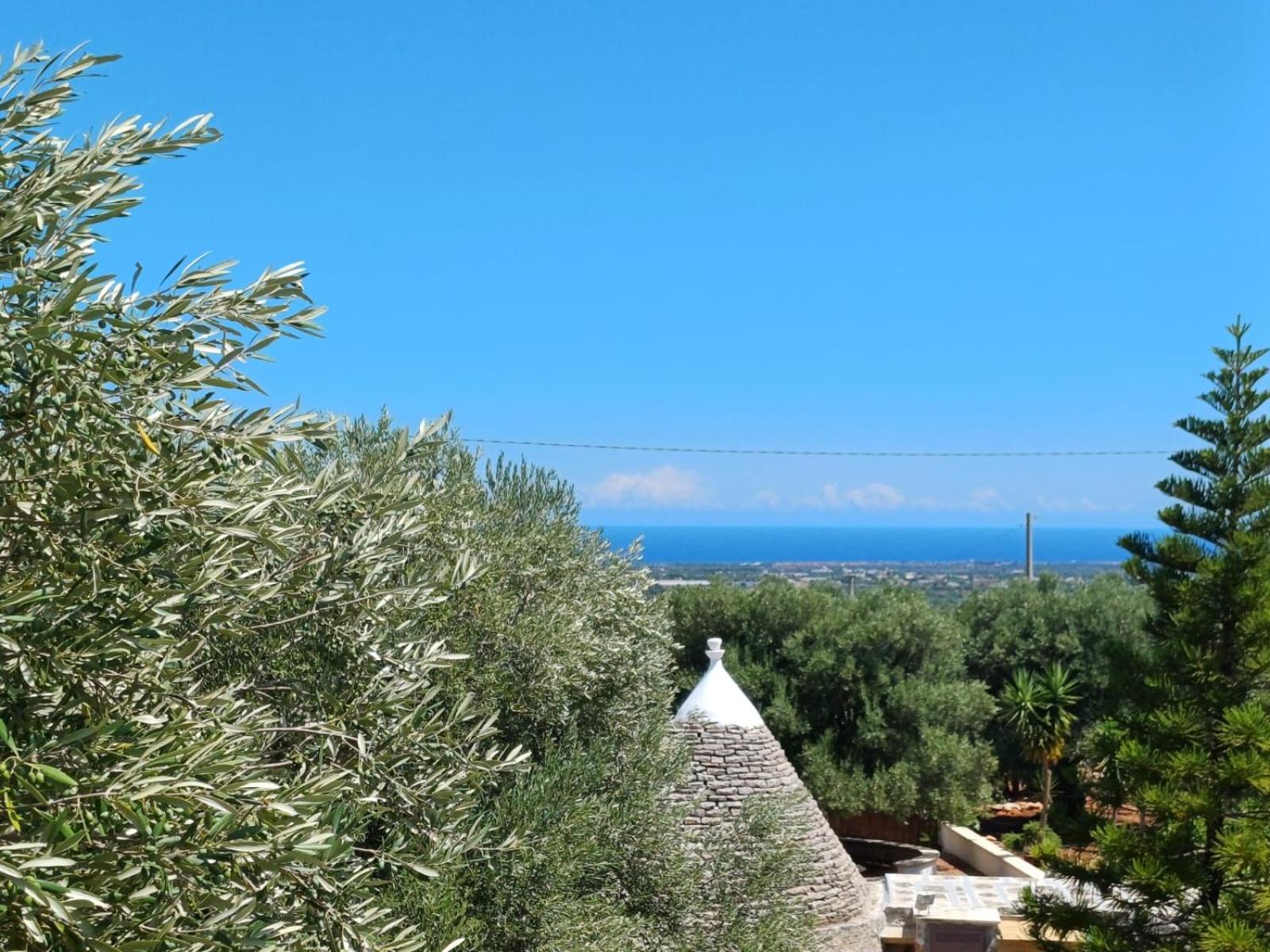 Villa Hill Trull - Typical Apulian House Monopoli Exterior foto